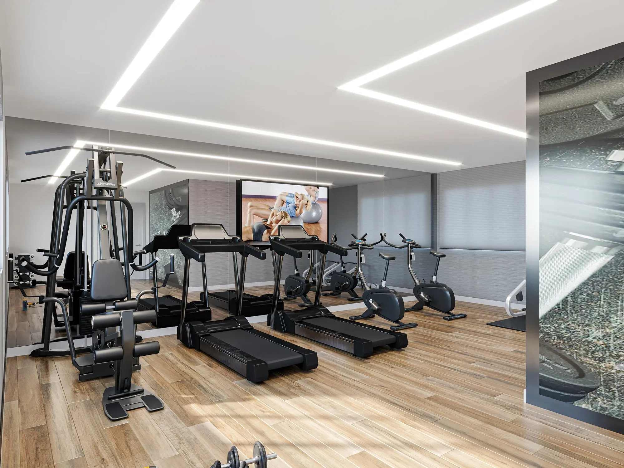 Fitness: Smart Torquato